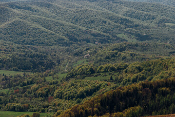 Mountain forest in early spring, Bieszczady Mountains, Poland