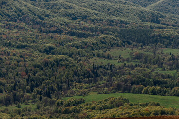 Fototapeta premium Mountain forest in early spring, Bieszczady Mountains, Poland
