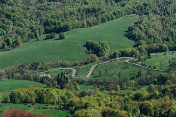 Fototapeta na wymiar A winding road among fields and forests, Bieszczady Mountains, Poland