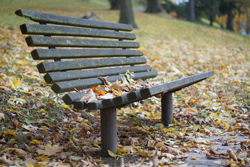 Jesień ławka w parku
