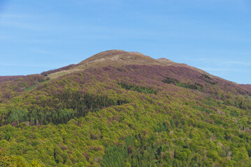 Wooded mountain peak, Bieszczady Mountains, Poland