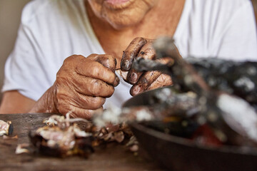 Documentary photography preparation of Oaxacan mole in Mexico, in a traditional way. Oaxacan tamales. Mexican food. Latin food. Spicy food.