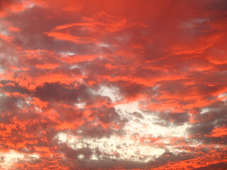 Pink clouds in the sky