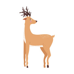 cute reindeer standing