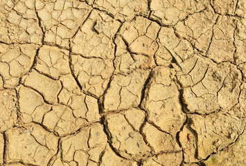 Cracked soil of the earth due to climate change. Dry lake in the process of drought and lack of rain or moisture. Global natural disaster. Hydrological drought, ecological catastrophy