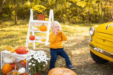 cute boy with flowers and pumpkins in autumn park background with yellow car