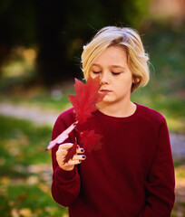 young blond boy in a red sweater viewing the autumn leaves in park. tender soul