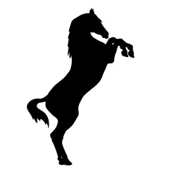 Icon of horse silhouette. Black  illustration of mustang stallion © tcheres