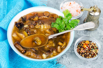 Delicious hot soup with wild mushrooms. Studio Photo.