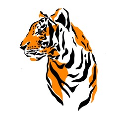 An illustration of a tiger or a wild cat with huge claws and fangs. A bloodthirsty predator before hunting a victim. An idea for a tattoo. a relative of a lion, cougar, leopard or cheetah