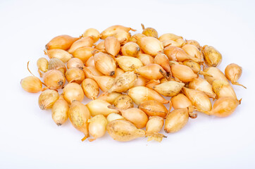 Small Dutch onion sets for planting in ground. Studio Photo.