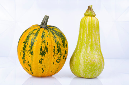 Small pumpkins of different shapes and varieties isolated on white background. Studio Photo.