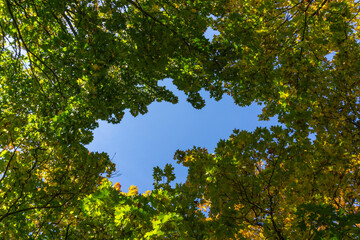 Fototapeta premium Landschaft im Herbst