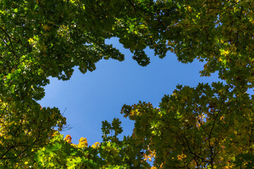 Landschaft im Herbst