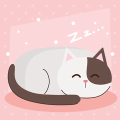 cute cat animal sleeping