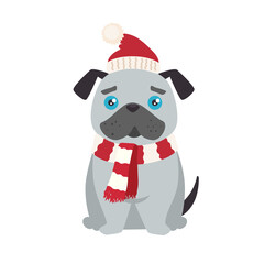 cute dog with santa hat