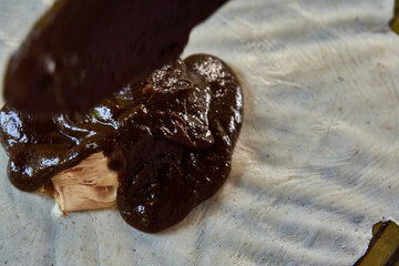 Documentary photography preparation of Oaxacan mole in Mexico, in a traditional way. Oaxacan tamales. Mexican food. Latin food. Spicy food.