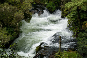 Fototapeta na wymiar Powerful rapids of Okere falls, Rotorua, New Zealand