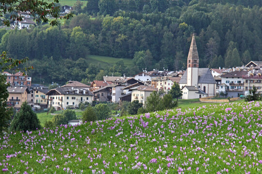 l'abitato di Varena con la chiesa dei Santi Pietro e Paolo (Val di Fiemme, Trentino)