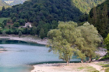 salici sul Lago di Tenno; Trentino