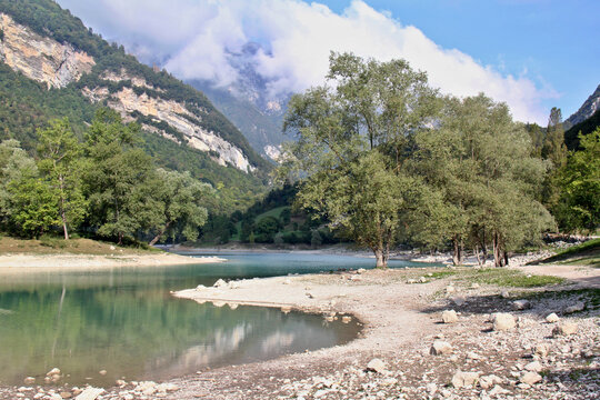 salici sul Lago di Tenno; Trentino