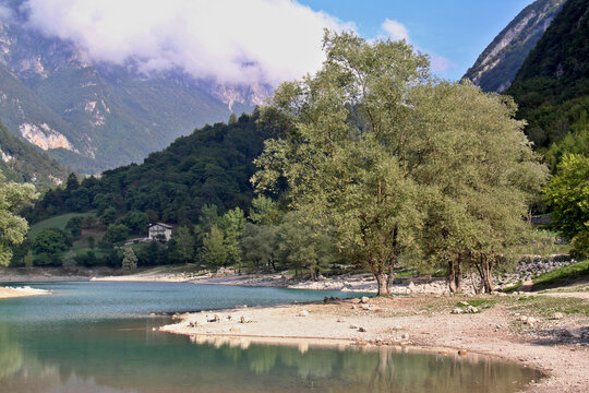 salici sul Lago di Tenno; Trentino