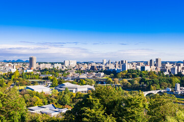 Fototapeta premium 仙台 青空と都市風景