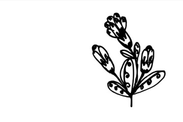 Plant with flower and leaves, freehand drawing, black stroke on white background, illustration for design and printing on paper, fabric