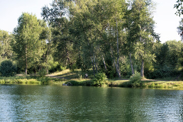 Naklejka premium A beautiful landscape of the river surrounded by trees on a sunny summer day under blue sky.