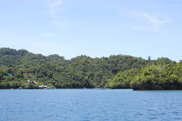Naklejka premium Beautiful lake and trees on island