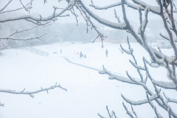 Winter Storm in Texas