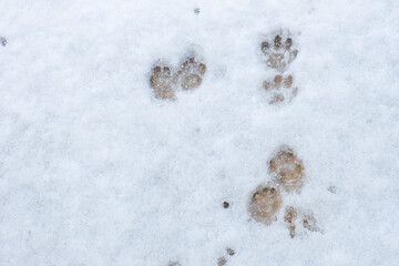 Winter Storm in Texas