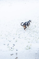 Winter Storm in Texas