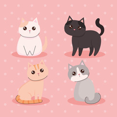 group of cute cats