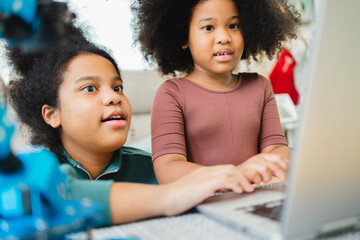 Two African American girls have fun working together while studying online using computers at home.