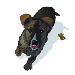Vector illustration of a small a puppy, isolated image on a white background. EPS 10