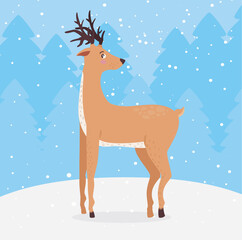 cute reinder in snowscape