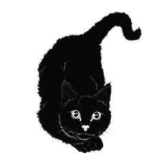 Vector illustration. Black silhouette of a domestic cat isolated on white background. EPS 8