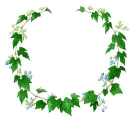 野葡萄の円形装飾フレーム