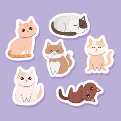 stickers of cute cats
