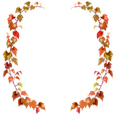アナログ水彩紅葉アイビーの半円形装飾フレーム