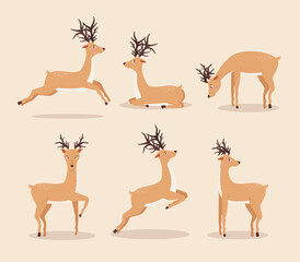 six reindeer animals group