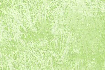 abstract light green background with copy space for design
