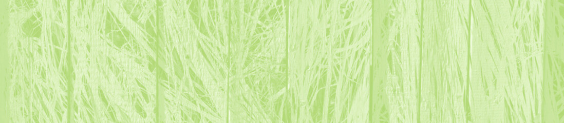 abstract light green background with copy space for design