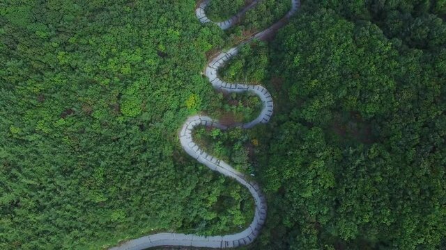 Aerial drone view of a curved winding road in autumn forest. South Korea. 여름, 길, 숲, 도로