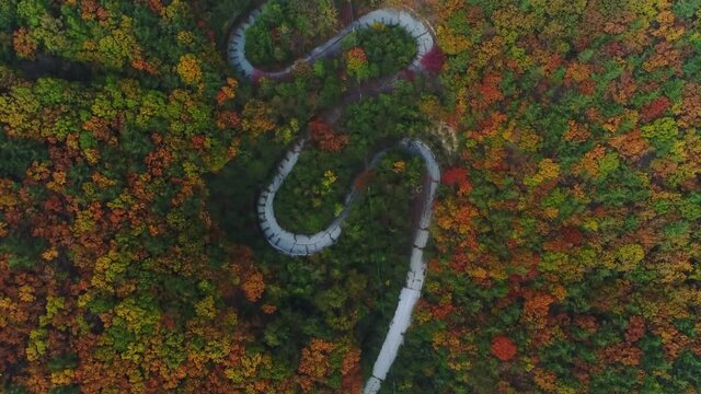 Aerial drone view of a curved winding road in autumn forest. South Korea. 가을, 단풍, 길, 숲, 도로