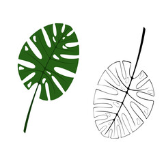 A jpeg illustration of two monstera leaves isolated on transparent background. Designed in green,  black and white colors as a coloring book page