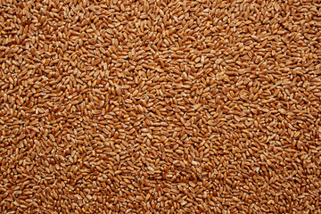 healthy eating muesli morning snack delicious view from above