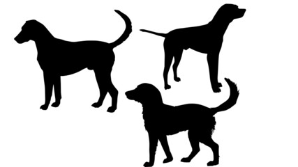 dogs silhouette vector