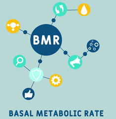 BMR - Basal Metabolic Rate acronym. medical concept background.  vector illustration concept with keywords and icons. lettering illustration with icons for web banner, flyer, landing 